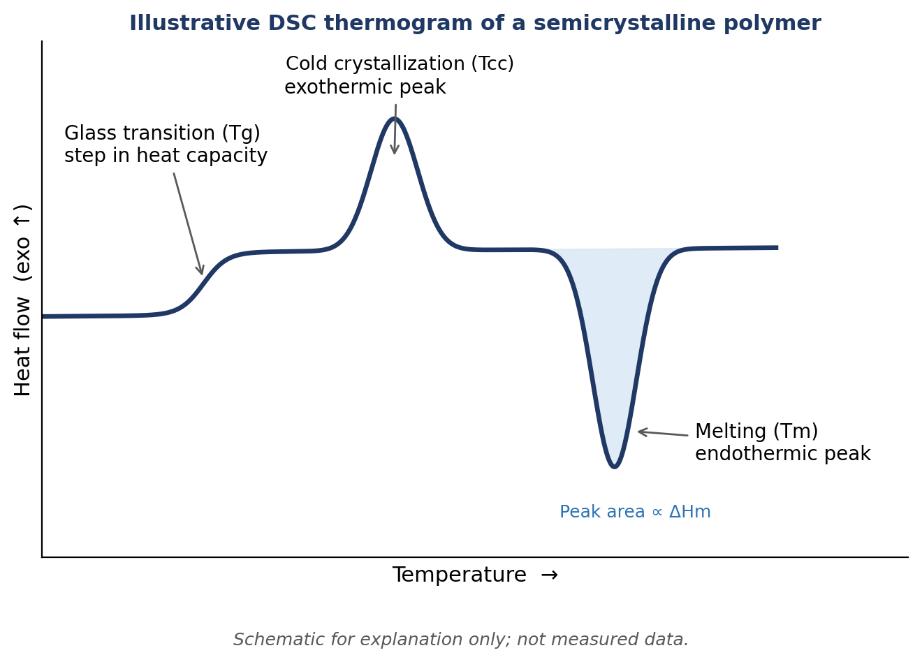 Figure 2. Illustrative DSC thermogram of a semicrystalline polymer. Schematic, not measured data. Exotherm up. Original illustration prepared for Testshine.