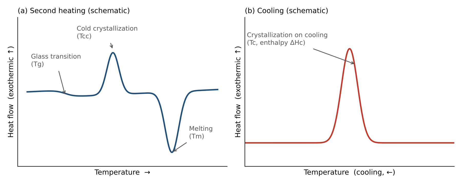 Schematic DSC curves for a polymer that shows cold crystallization while heating (a) and crystallization while cooling (b). Illustrative only and not measured data. Original figure prepared for this article.